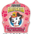 Plastic Curved Back Fire Helmet w/ Custom Pink Dalmatian Firefighter Shield